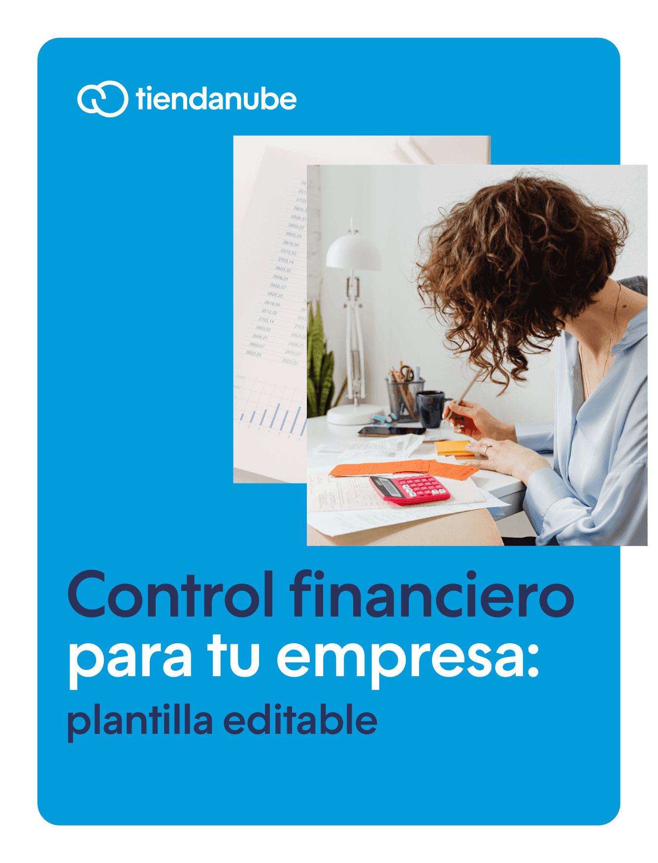 control financiero